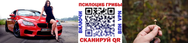 МЕГА вход  Ак-Довурак  Псилоцибиновые грибы GOLDEN TEACHER 
